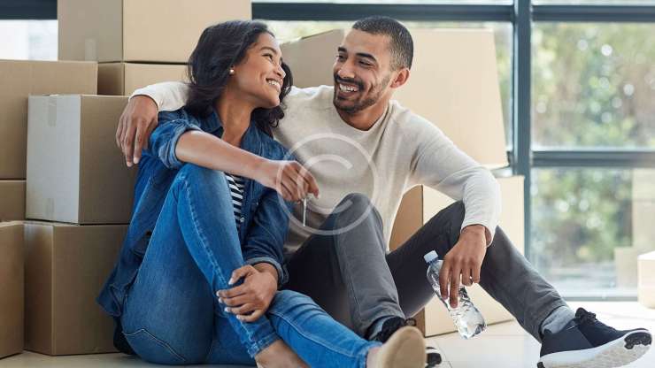 Moving houseplants: get useful info