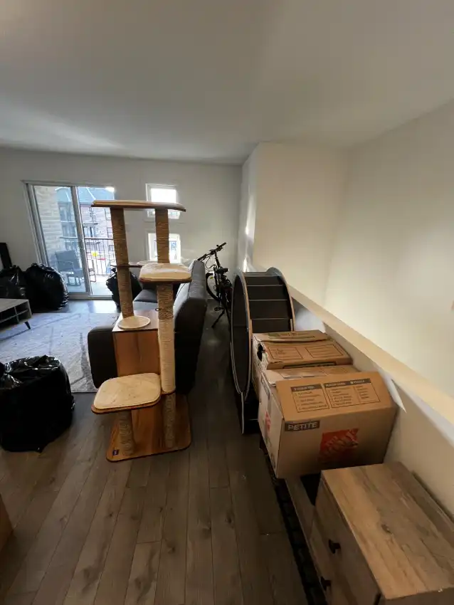 What's Included in Ottawa Next Movers Packing Service Ottawa Next Movers team carefully packing household items and fragile belongings