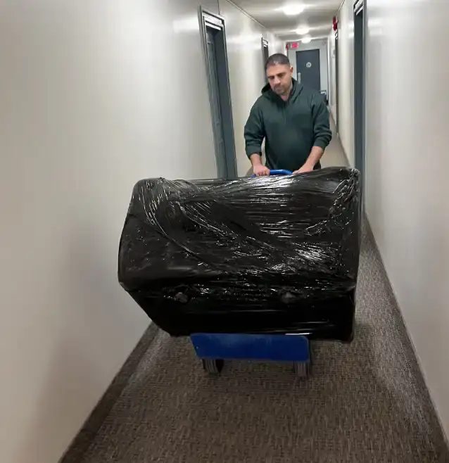 Furniture Moving