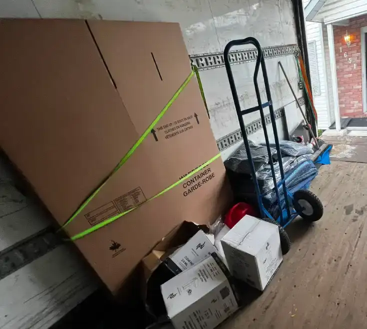 Senior Moving